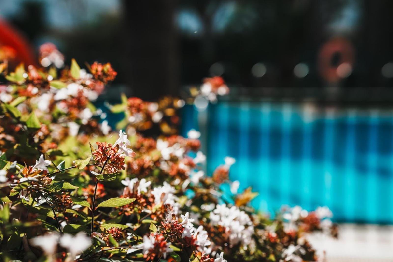 CostaGardens