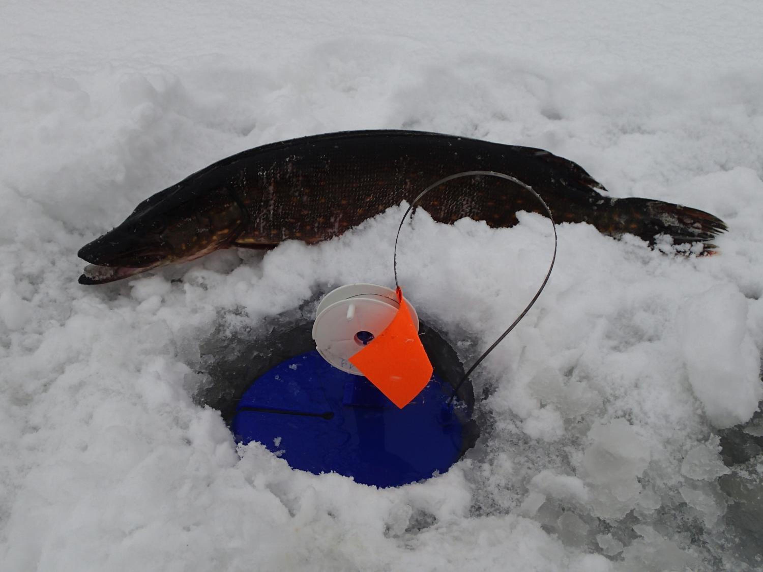 Lomasaaret - Property Image 2