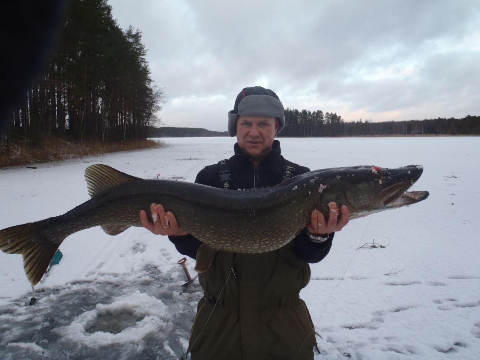 Lomasaaret - Property Image 3