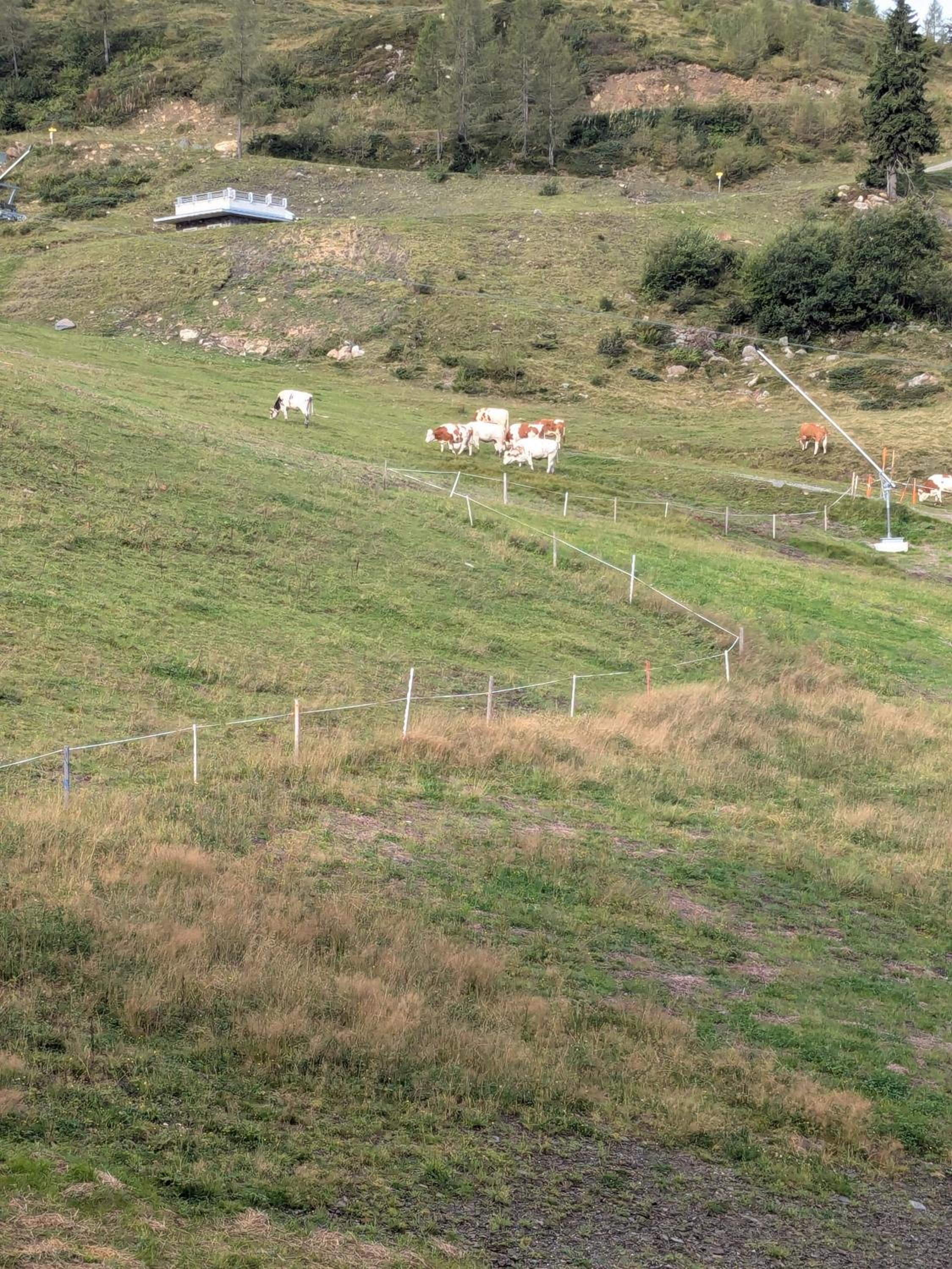 Apartments Nassfeldpass