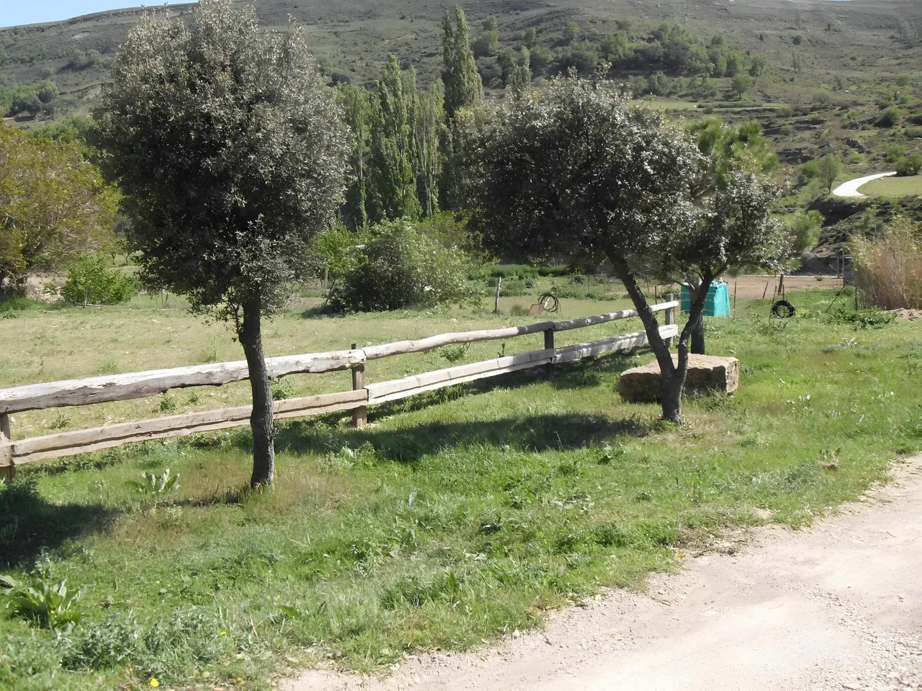 Photo 48