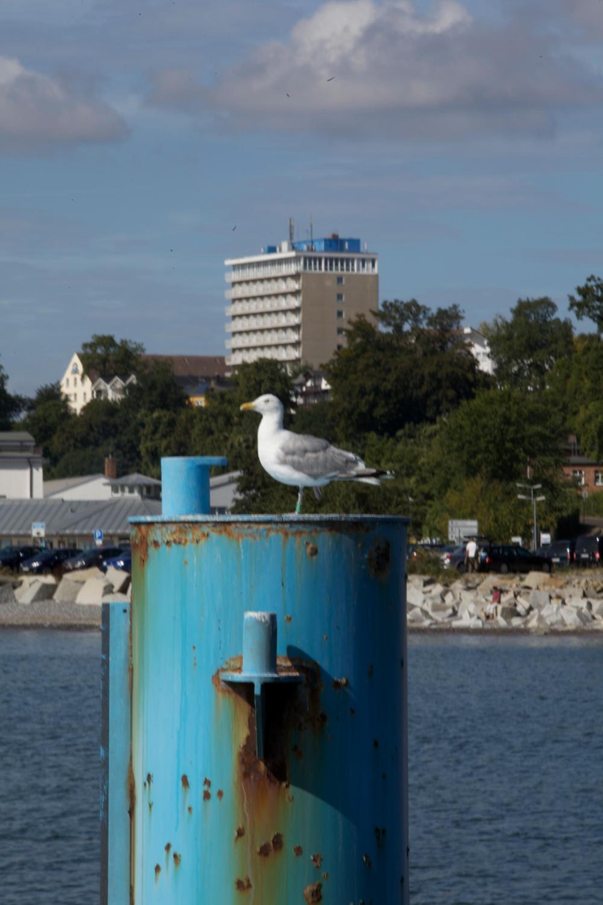 Ostseeblick Hotel Sassnitz