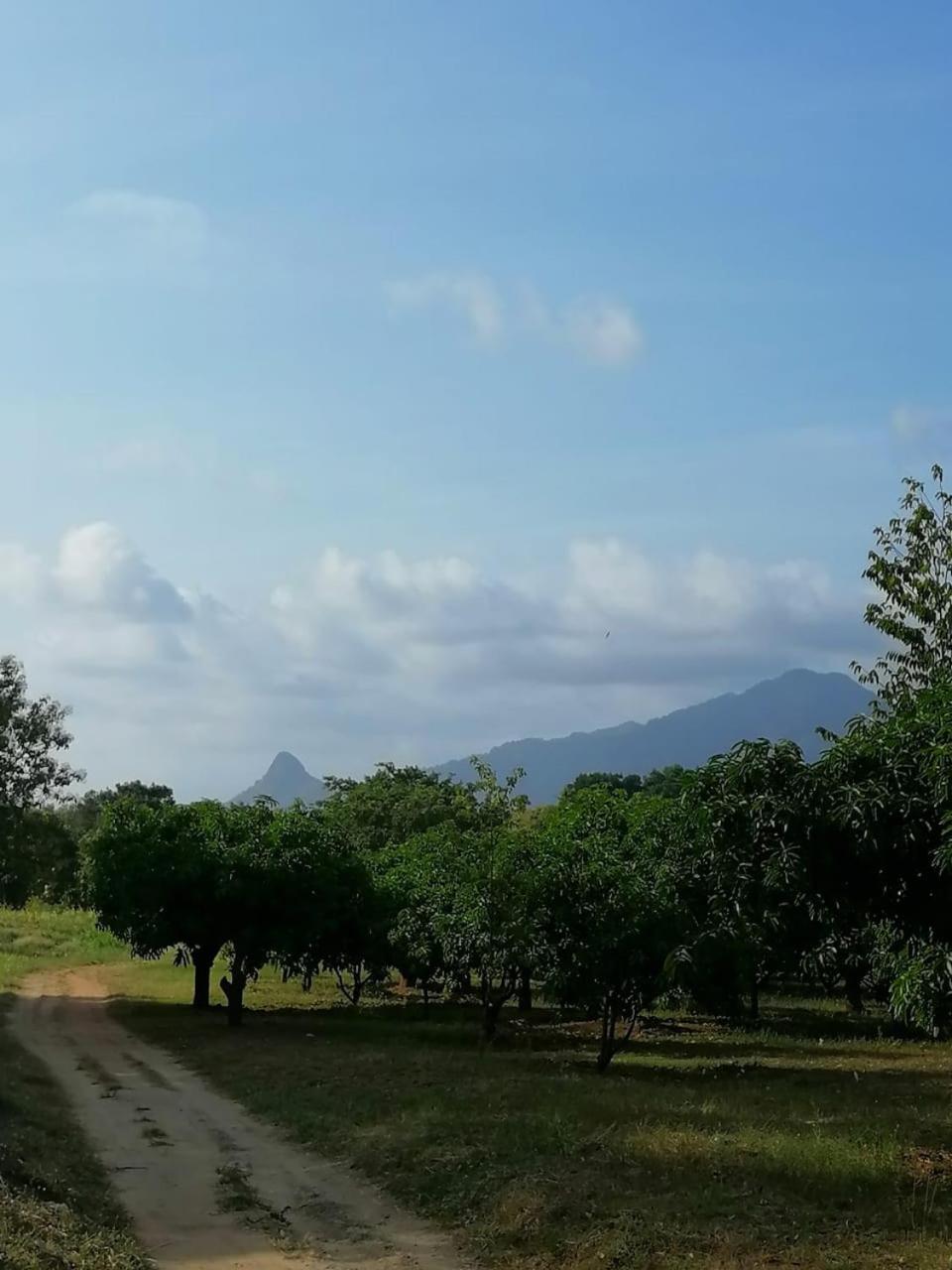 Kaaya Breeze view 3