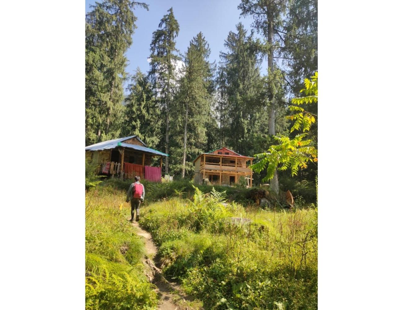 Into the Woods, Tulga, Kasol, HP "Nature's Trail, 20 Minutes to Tranquility" view 2