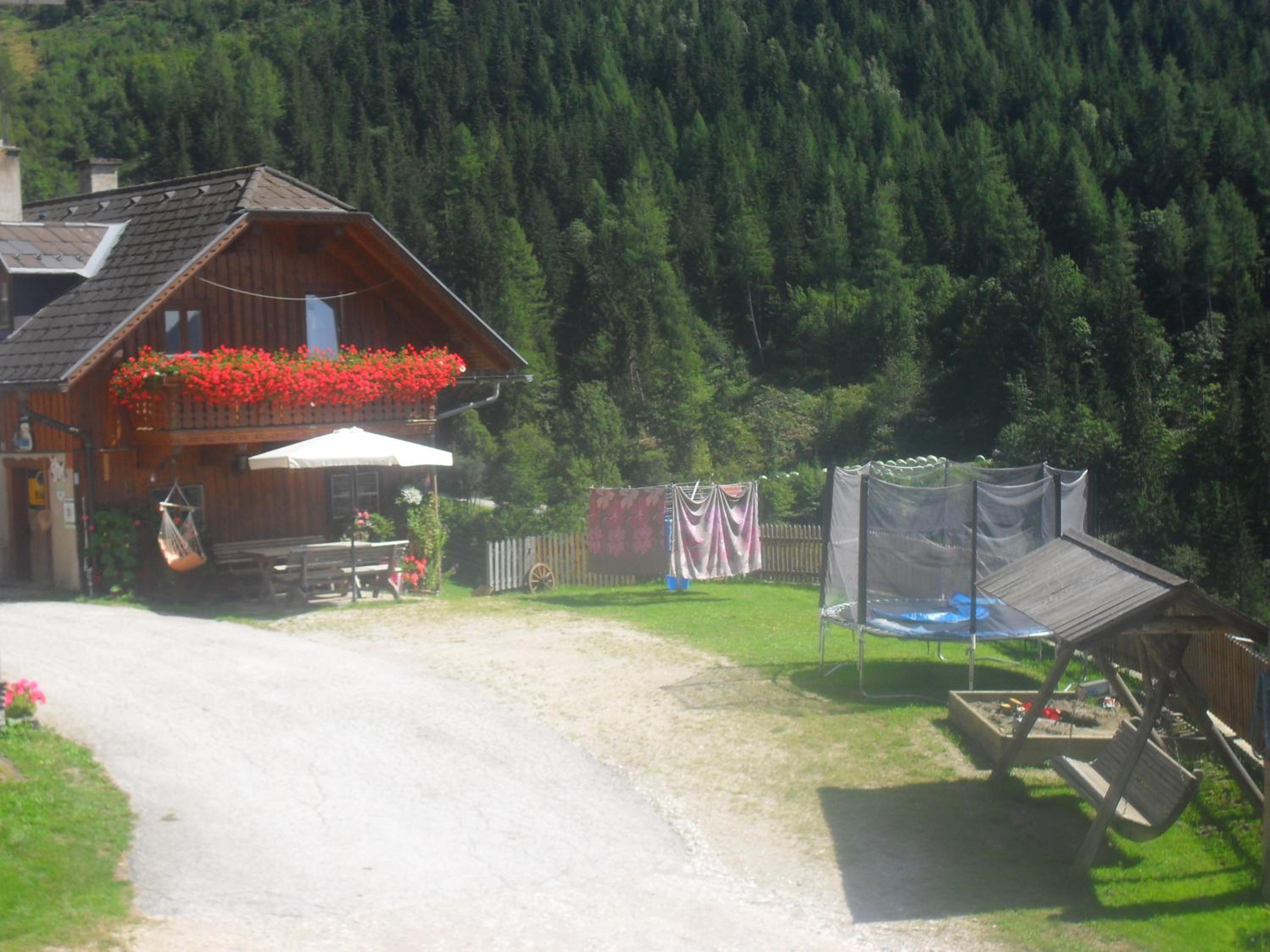 Photo 42