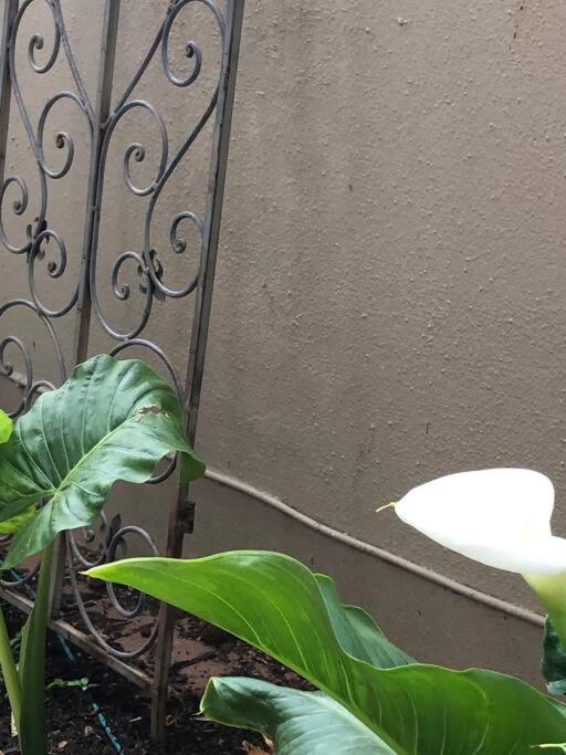 Retreat bedroom opens on garden & patio