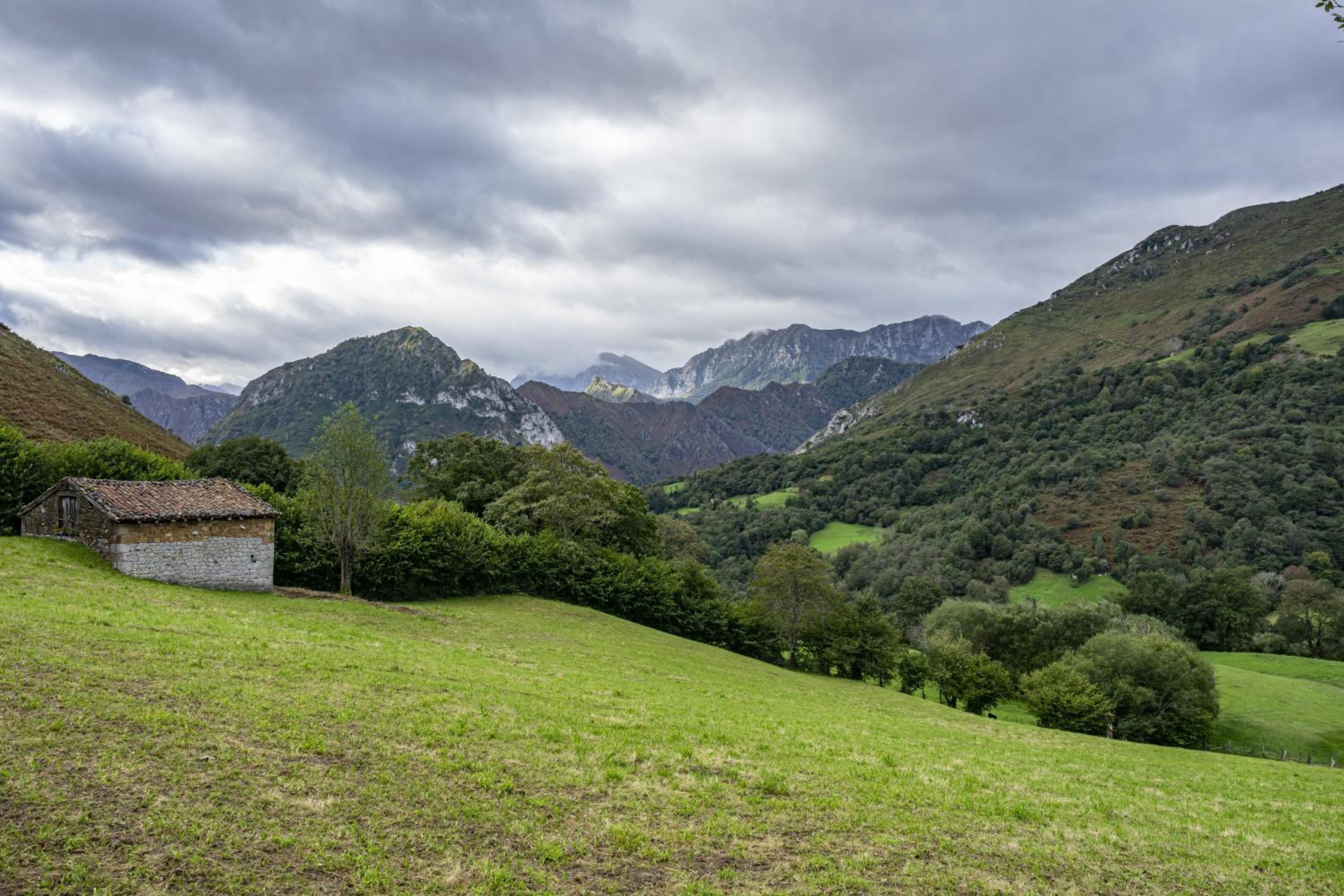 Aguas Parque Ponga