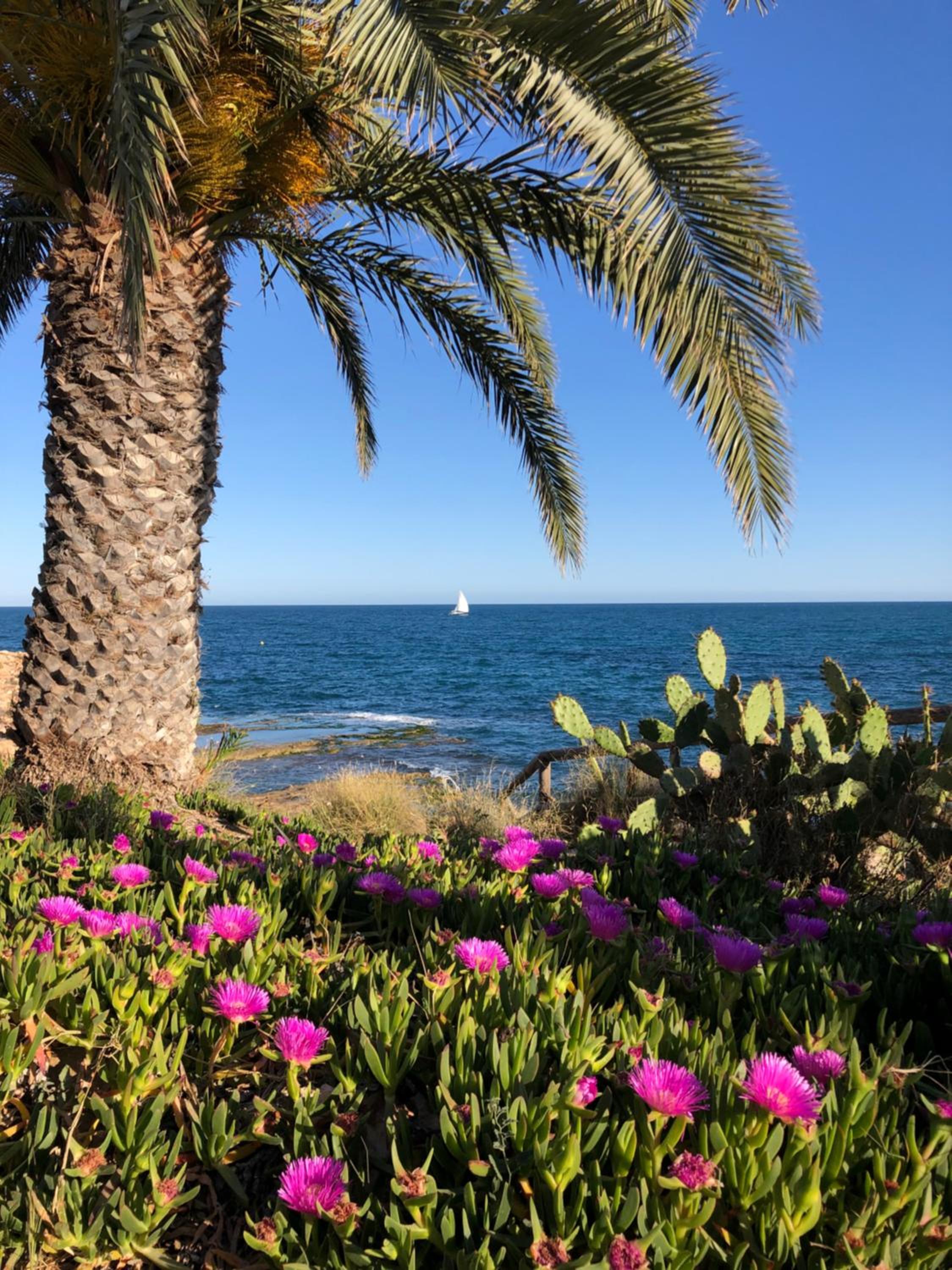 Del Mar