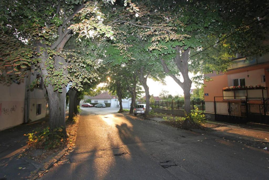 Apartment Lipa