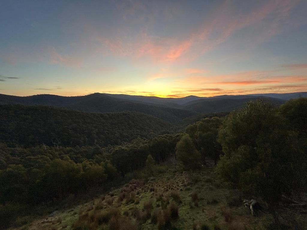 Golden Valley