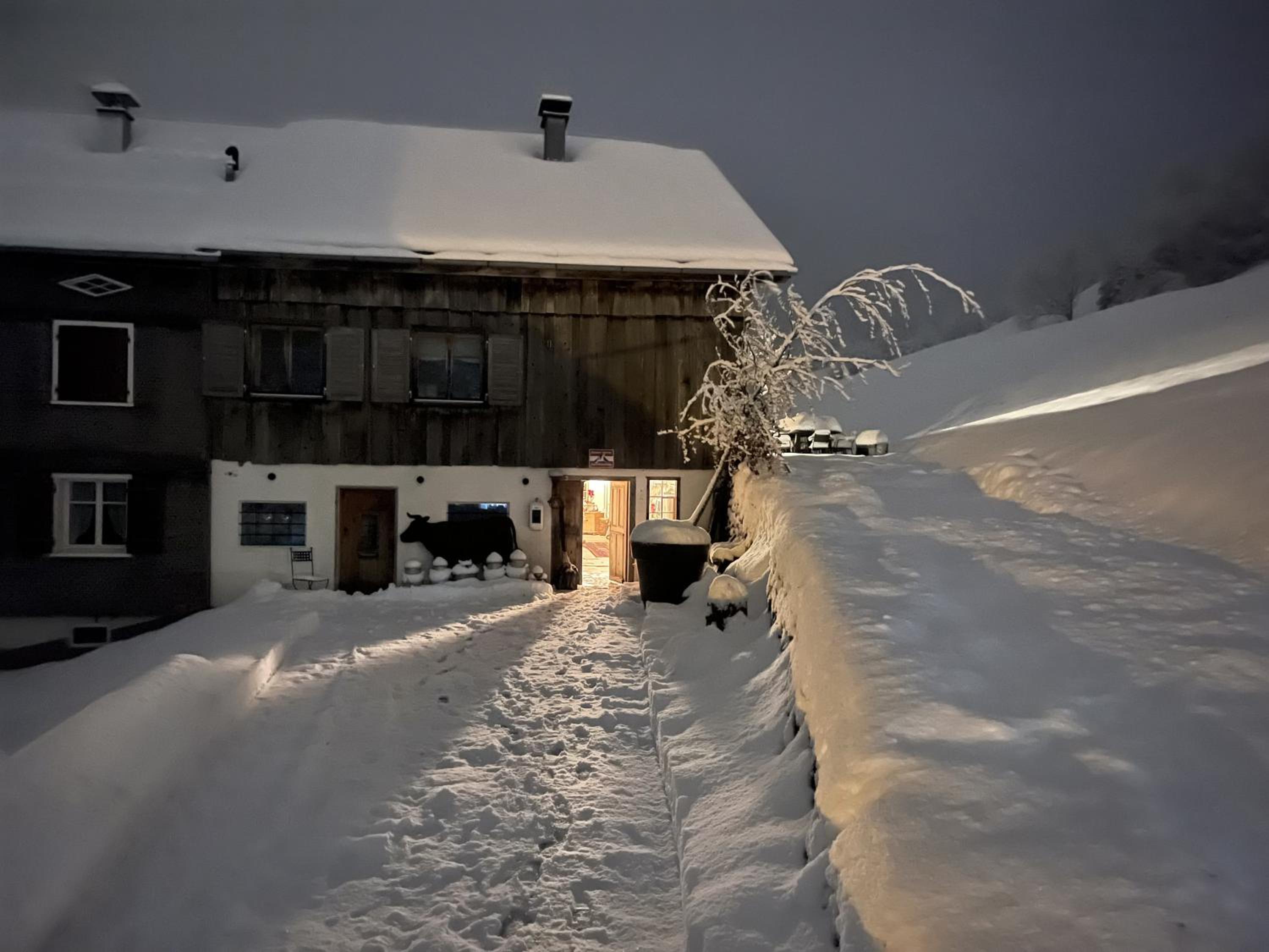 Evelyn's Hütte
