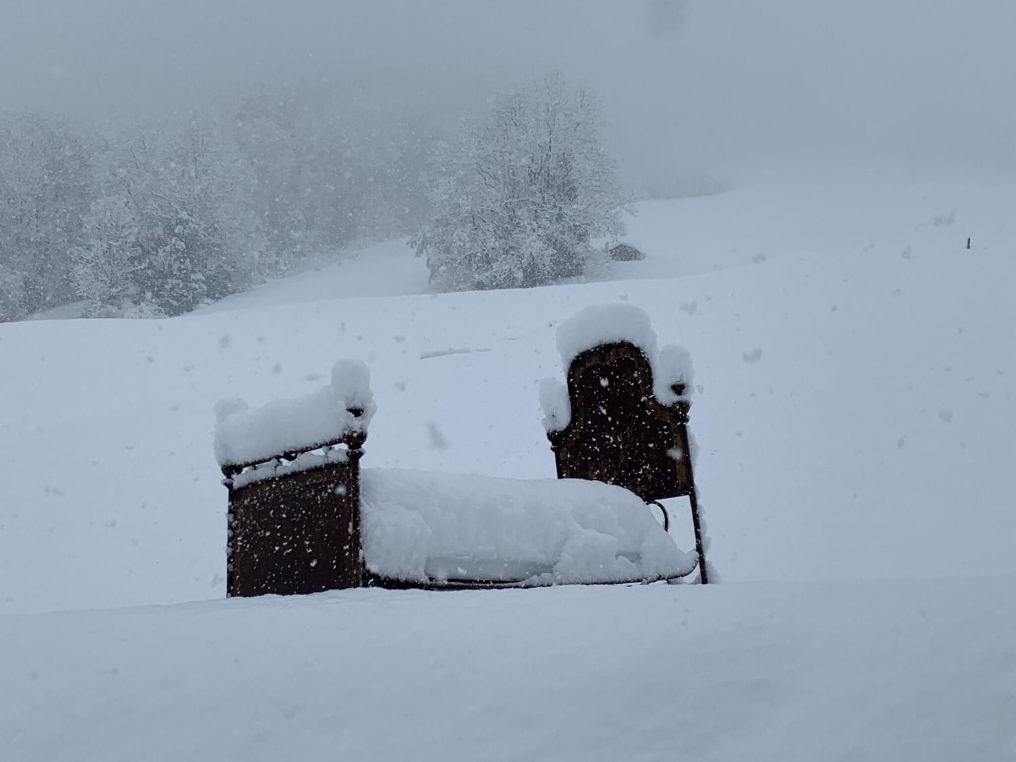 Evelyn's Hütte