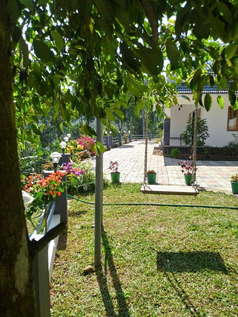 Photo 8