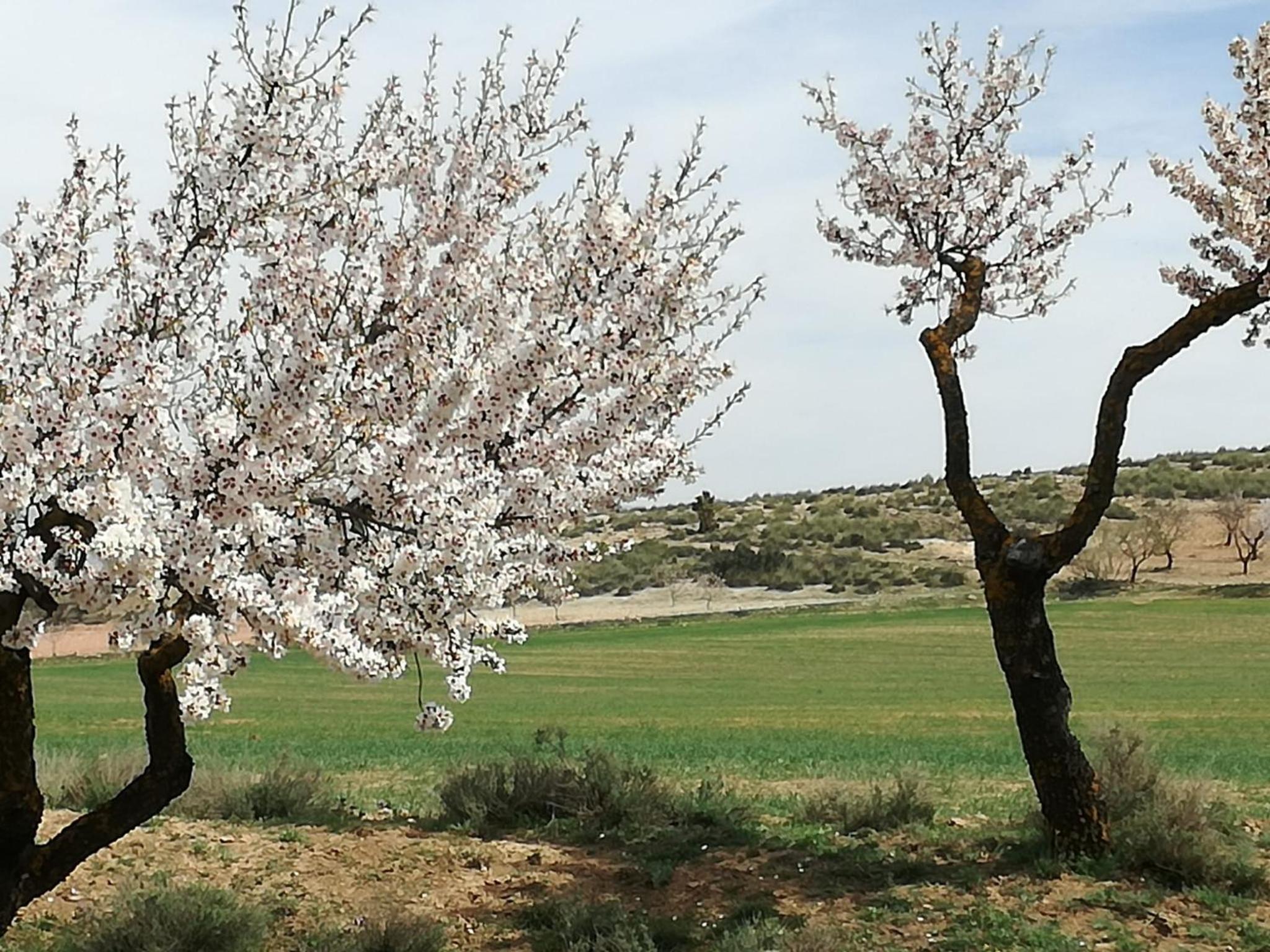 Casa Rural Abuela Dorotea