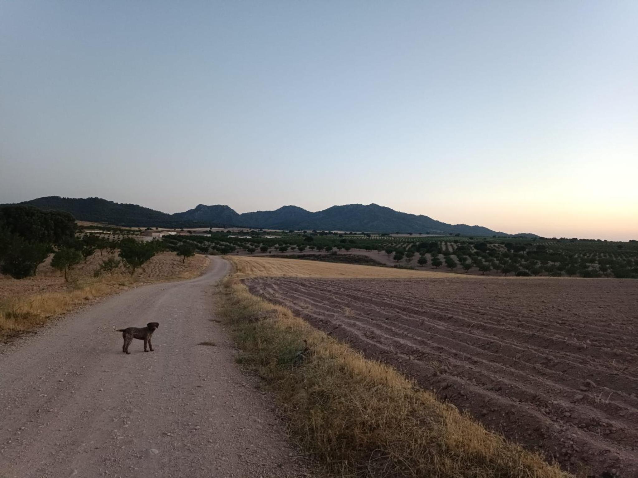 Casa Rural Abuela Dorotea