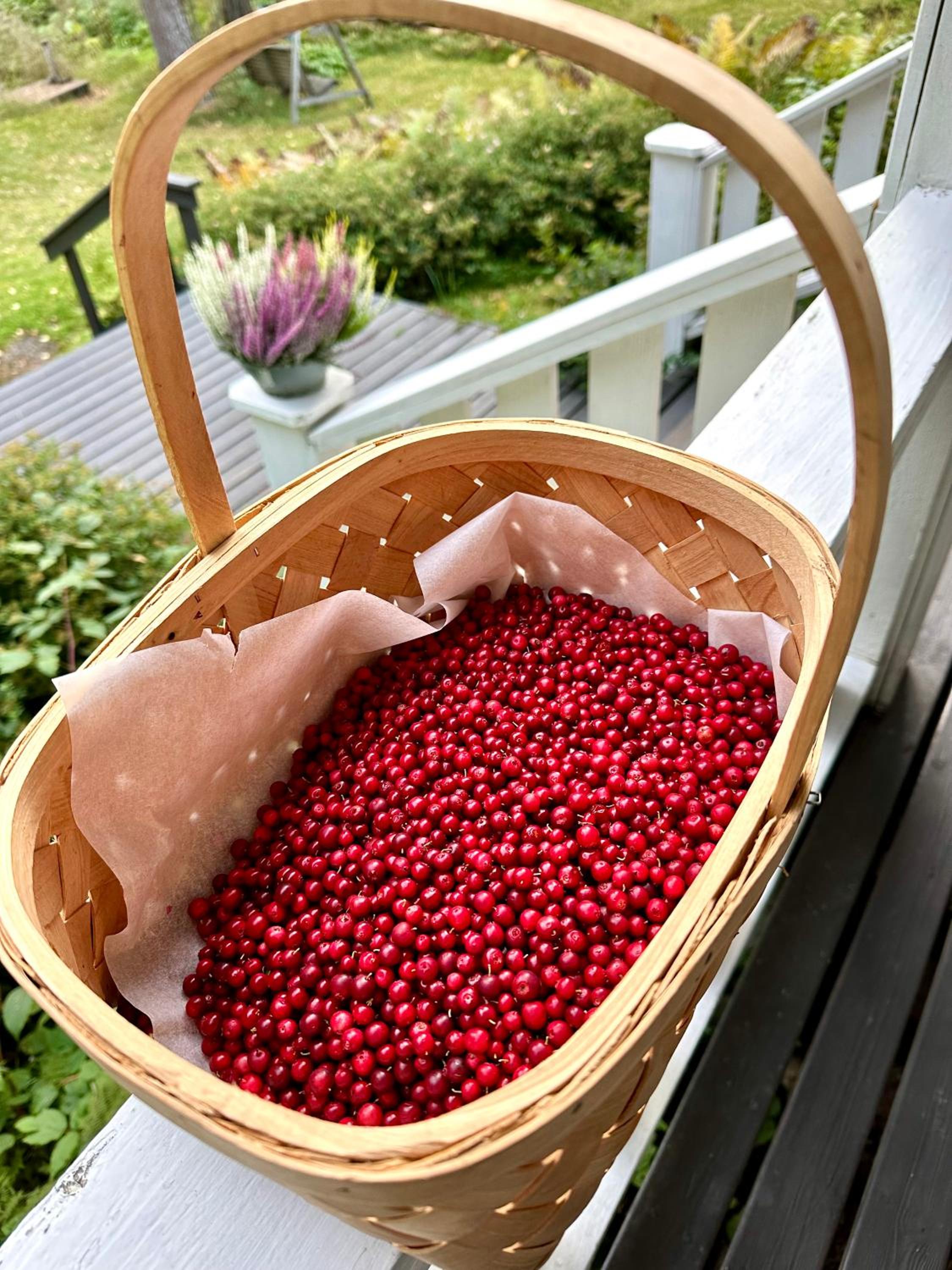 Blueberry Villa at Saimaa Lakeside