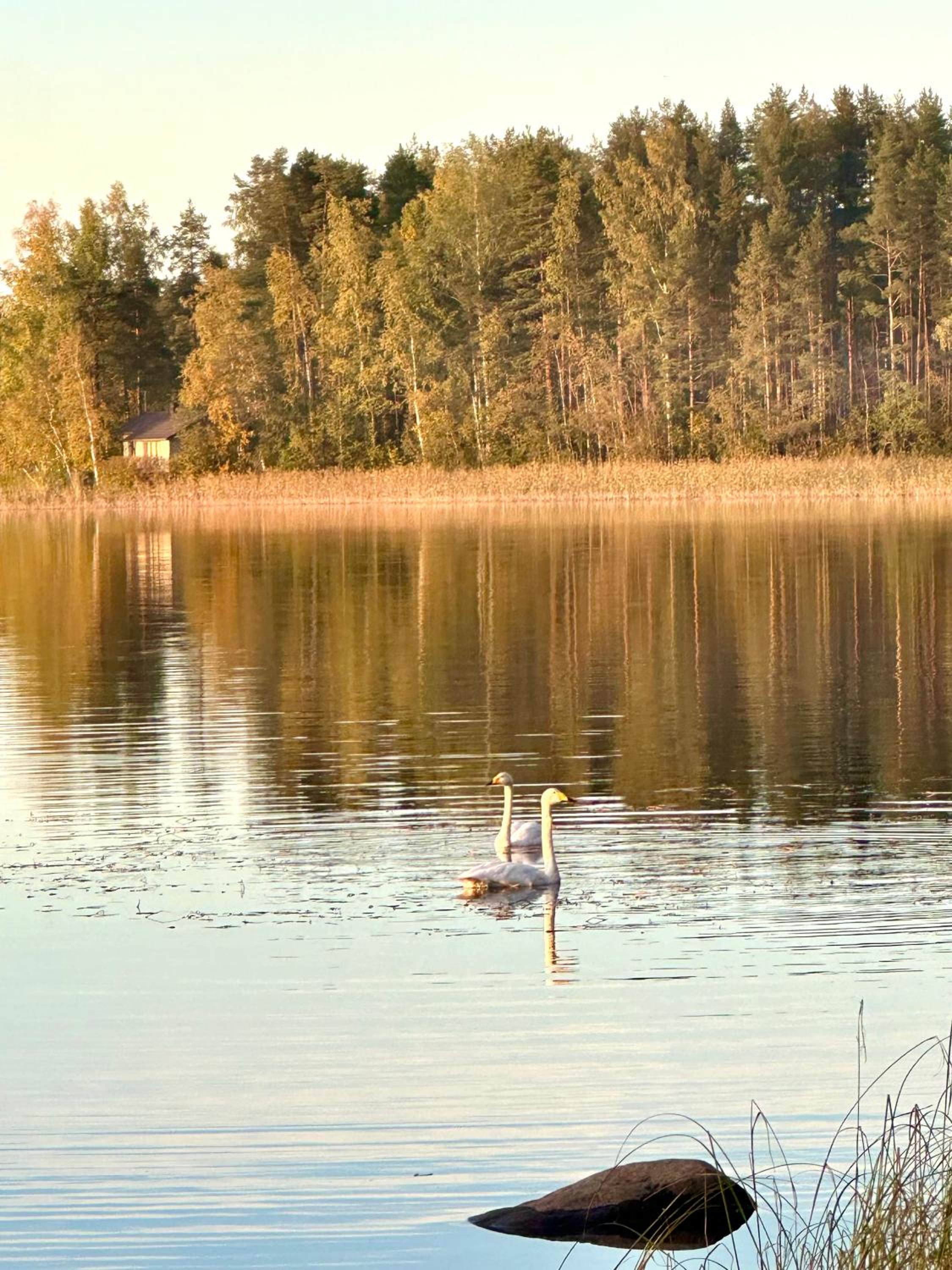 Blueberry Villa at Saimaa Lakeside