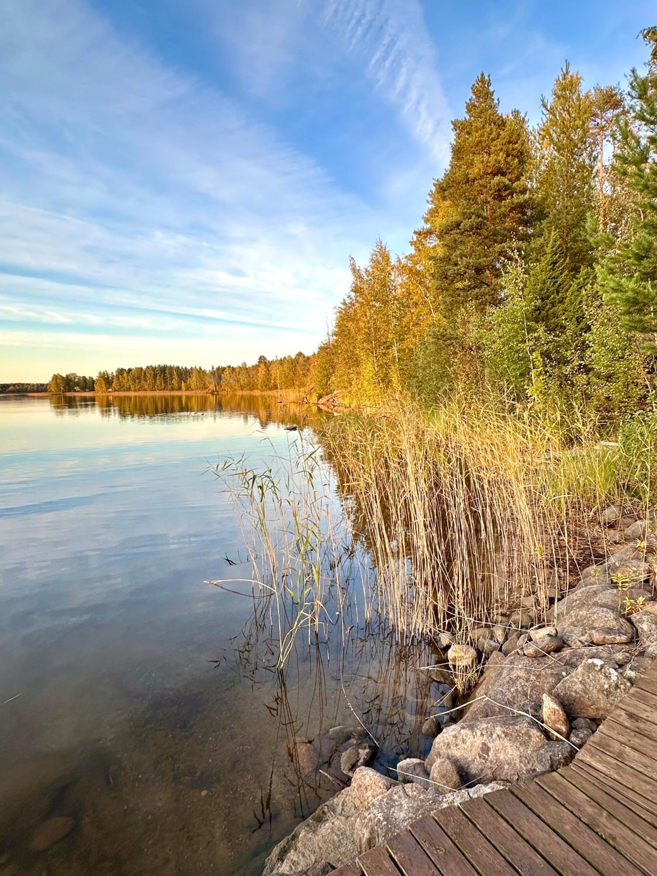 Blueberry Villa at Saimaa Lakeside