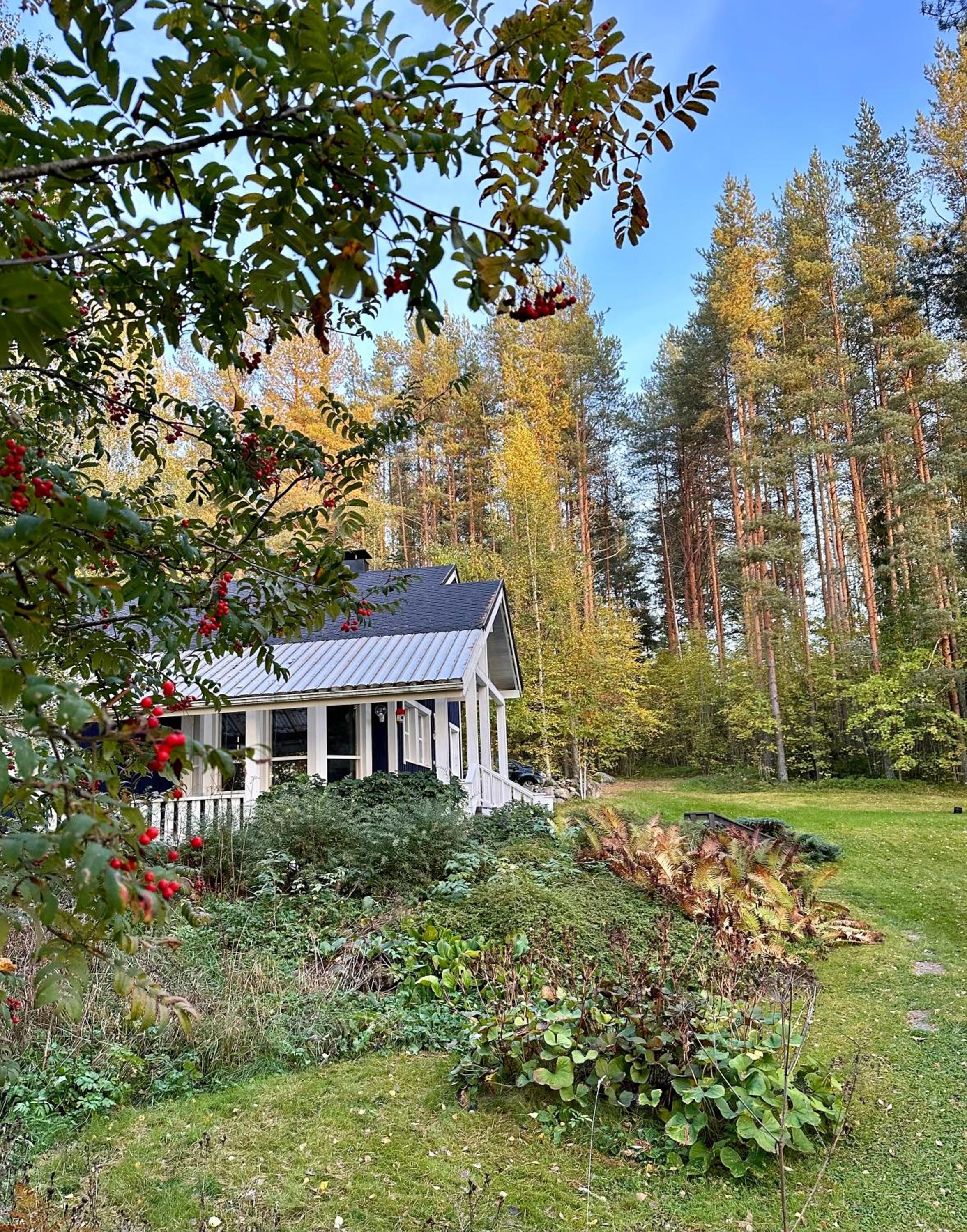 Blueberry Villa at Saimaa Lakeside