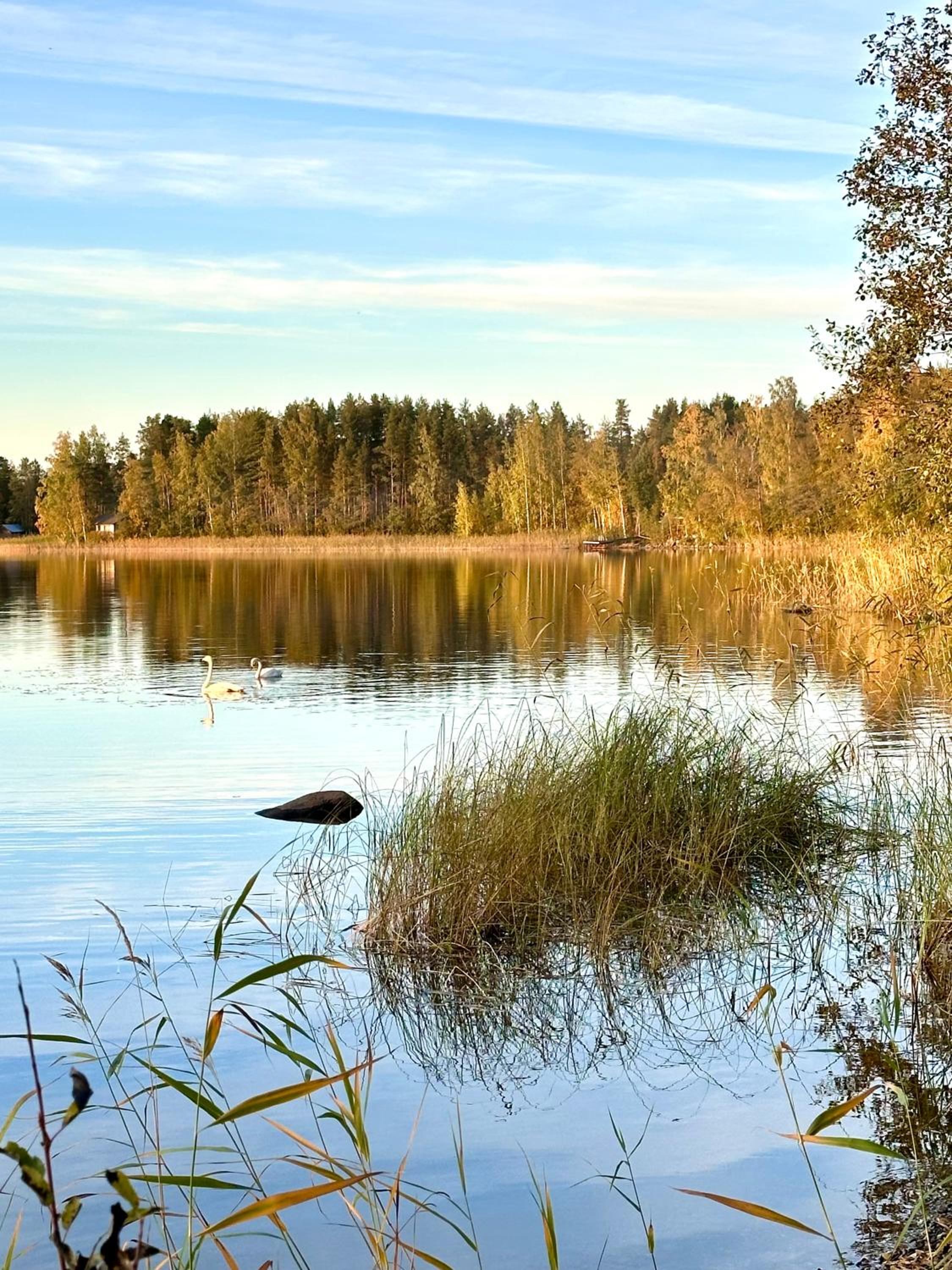 Blueberry Villa at Saimaa Lakeside