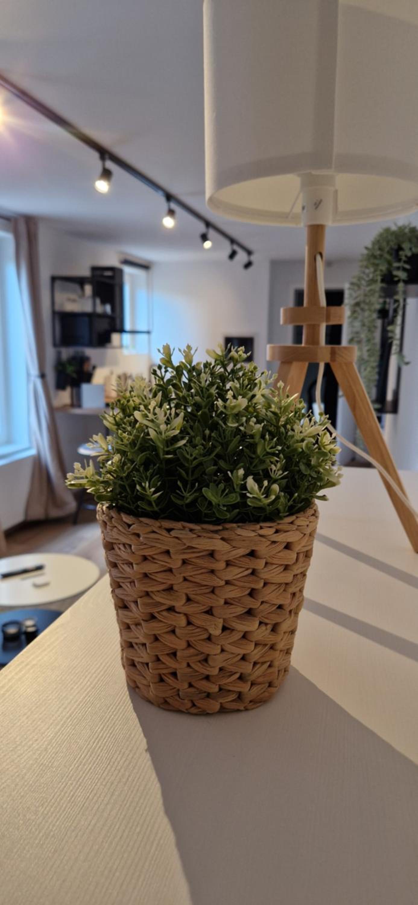 Charleroi Cozy Home