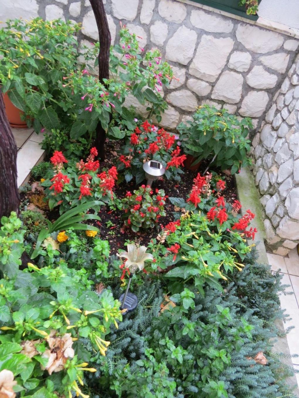Photo 30