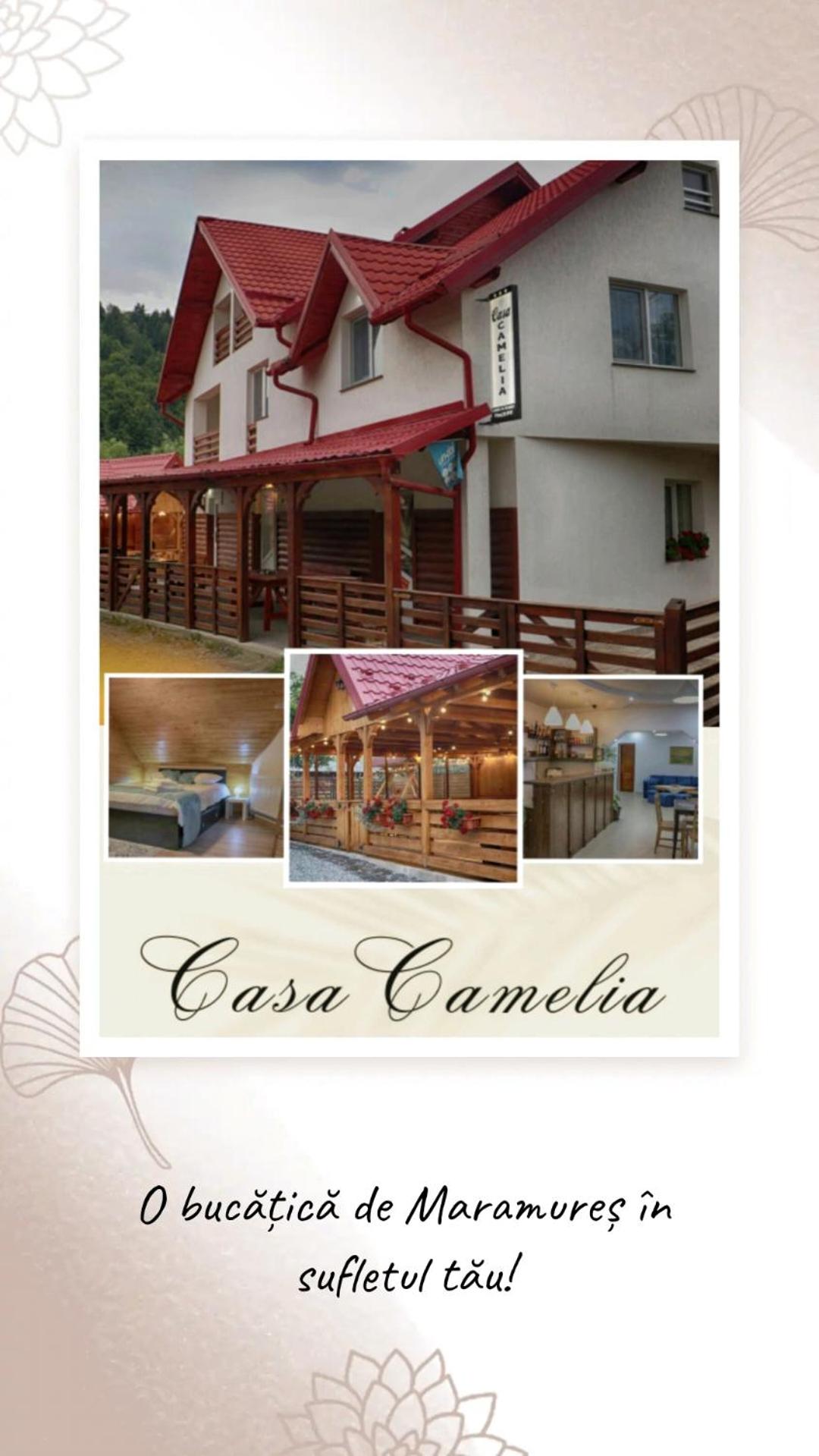 Casa Camelia view 2