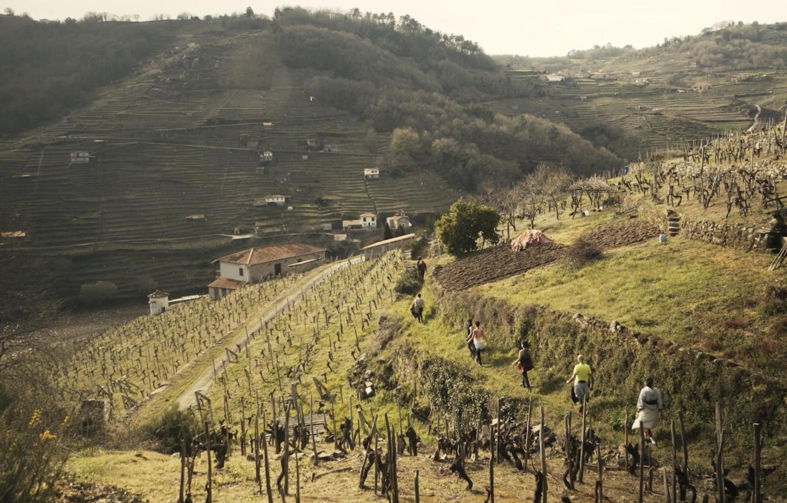 Geodesic Domes with Best Views in Ribeira Sacra
