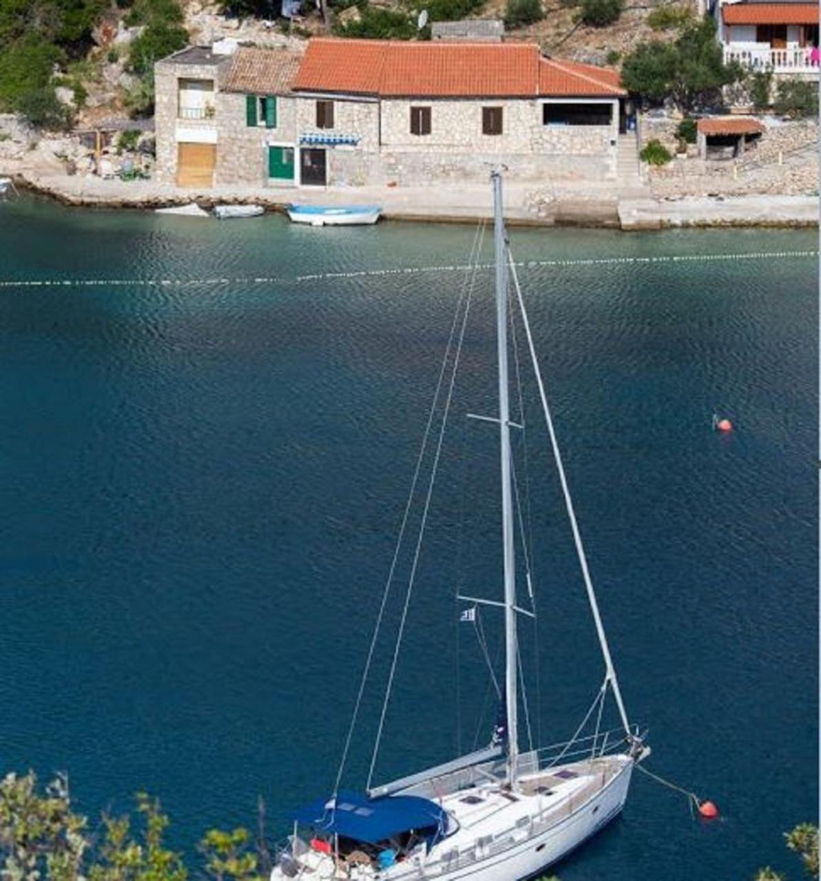 House Vinkli