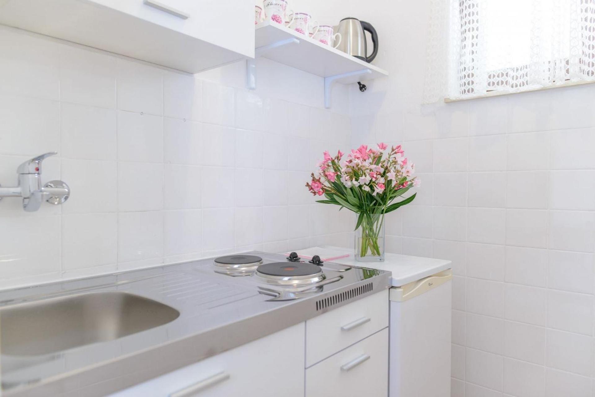 Apartment Vesna view 4
