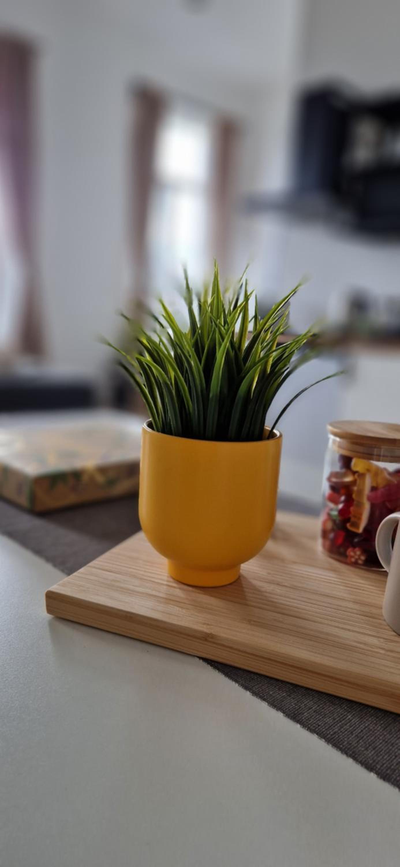 Charleroi Cozy Home