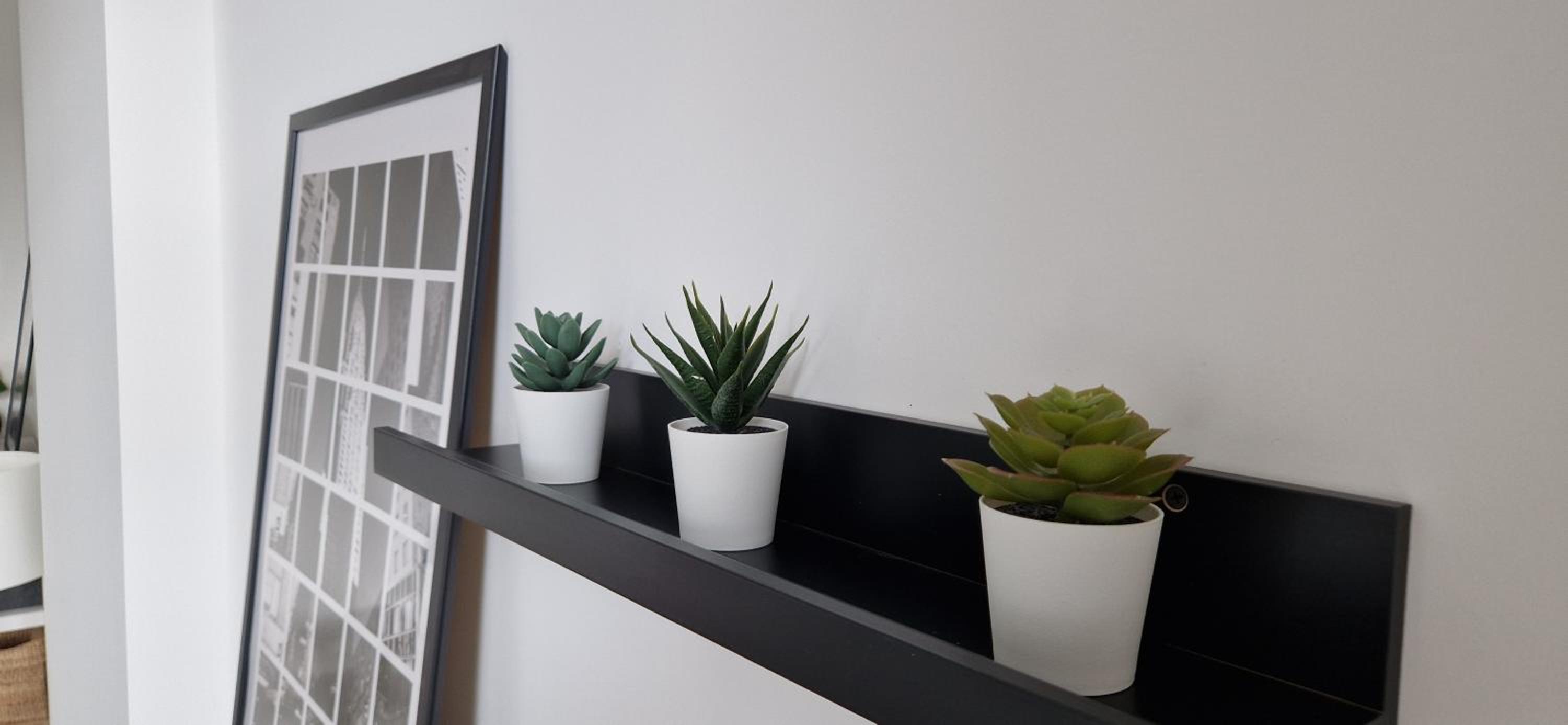 Charleroi Cozy Home
