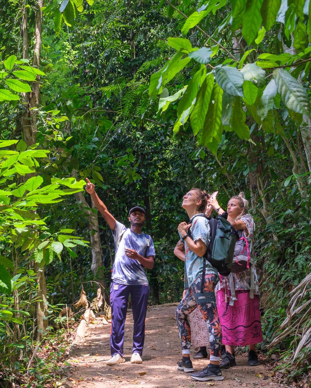 Polwaththa Eco Lodges