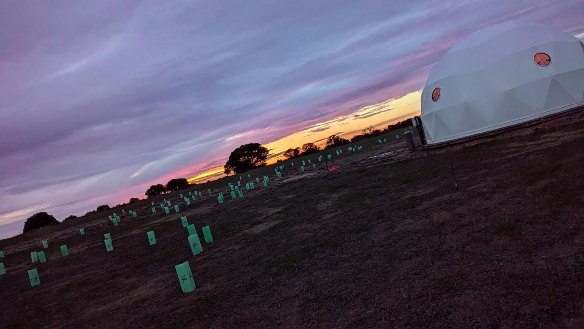 Eco Friendly Glamping Dome