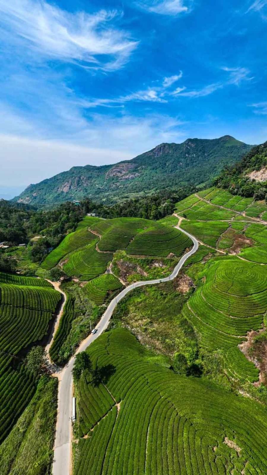 Munnar suncity