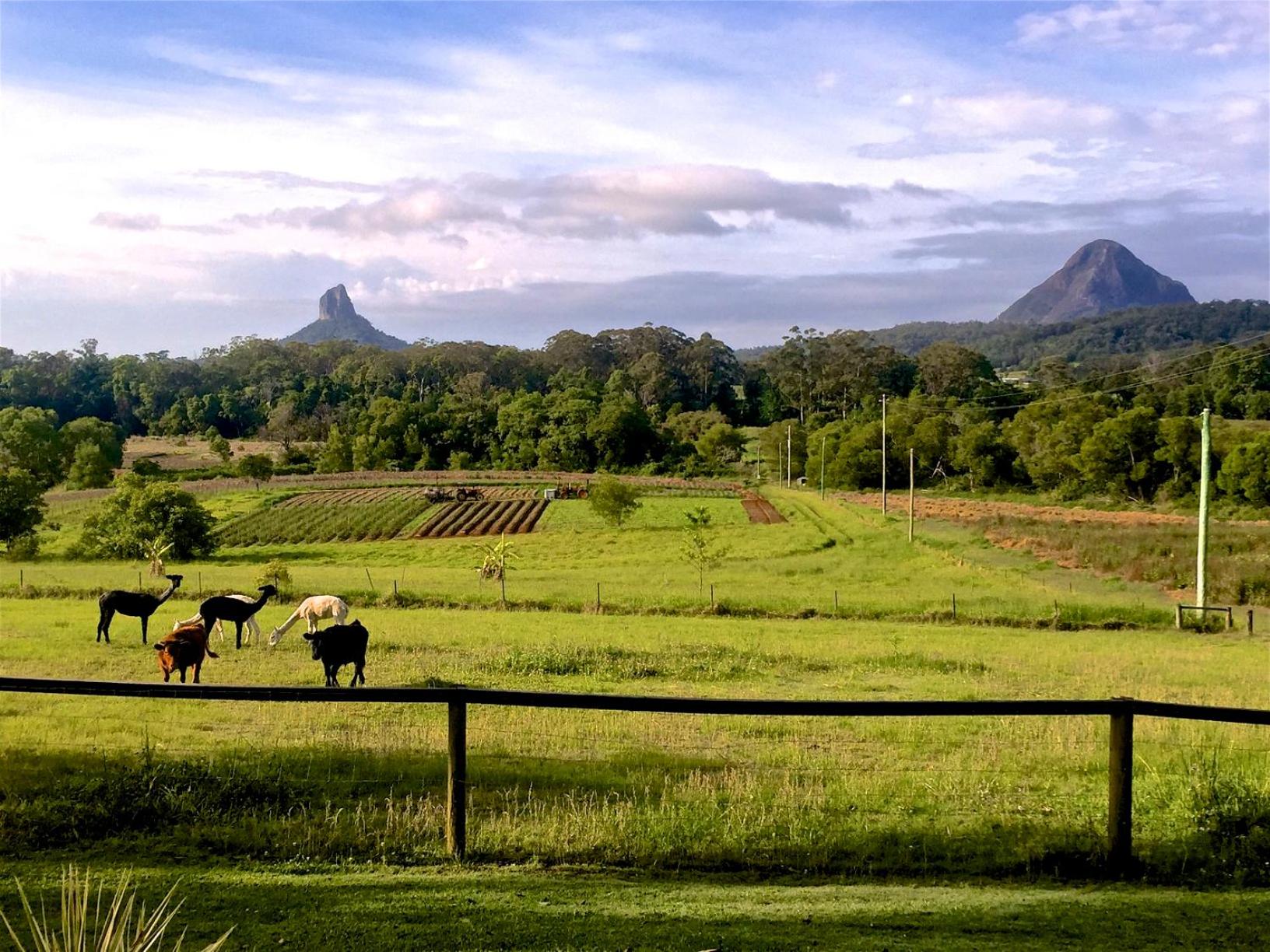 Blackwattle Farm