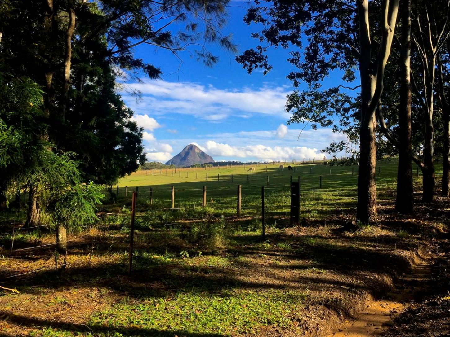 Blackwattle Farm