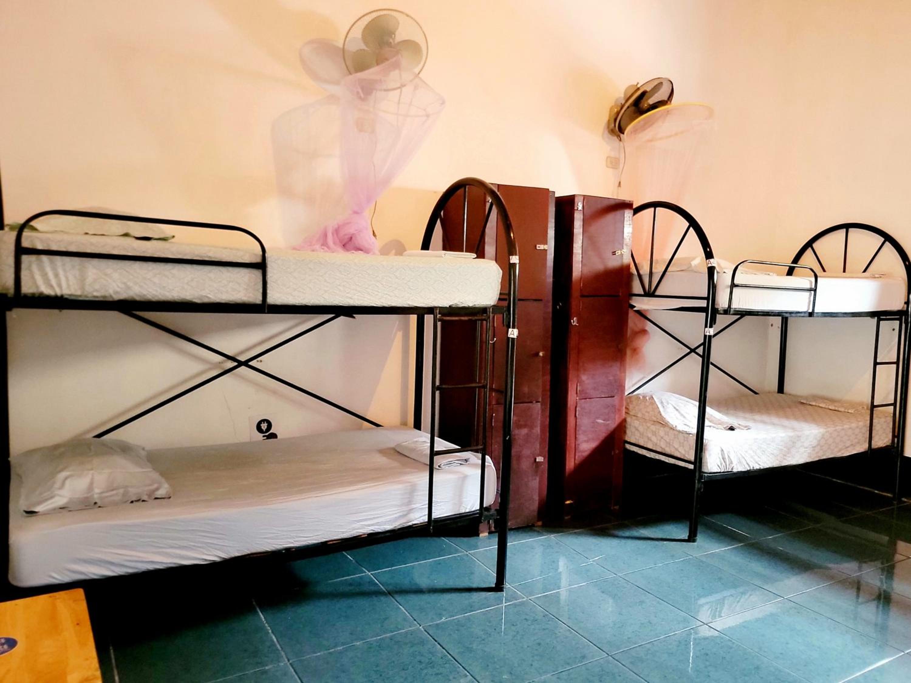 Poco a Poco Hostel, photo 12