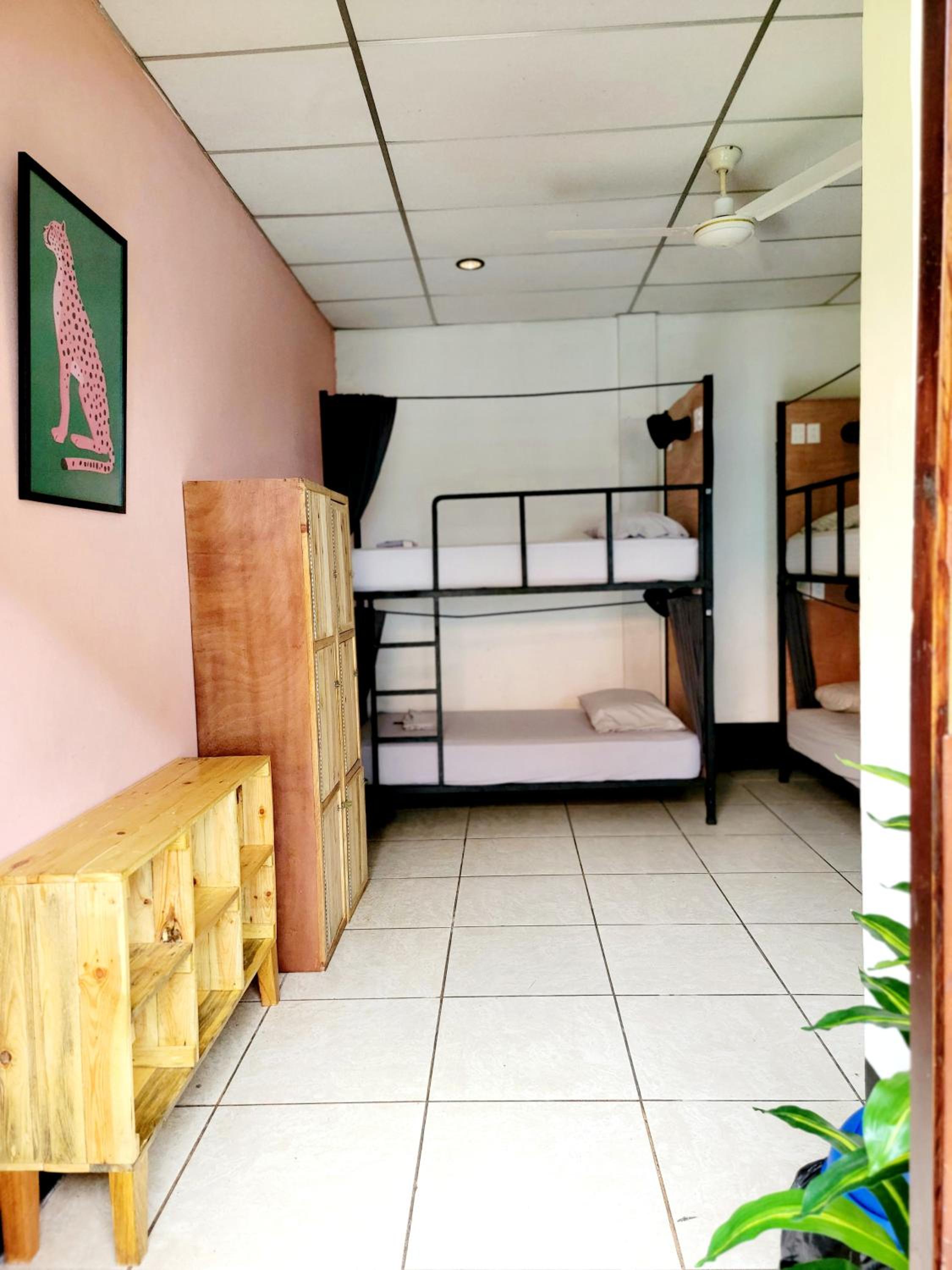 Poco a Poco Hostel, photo 22
