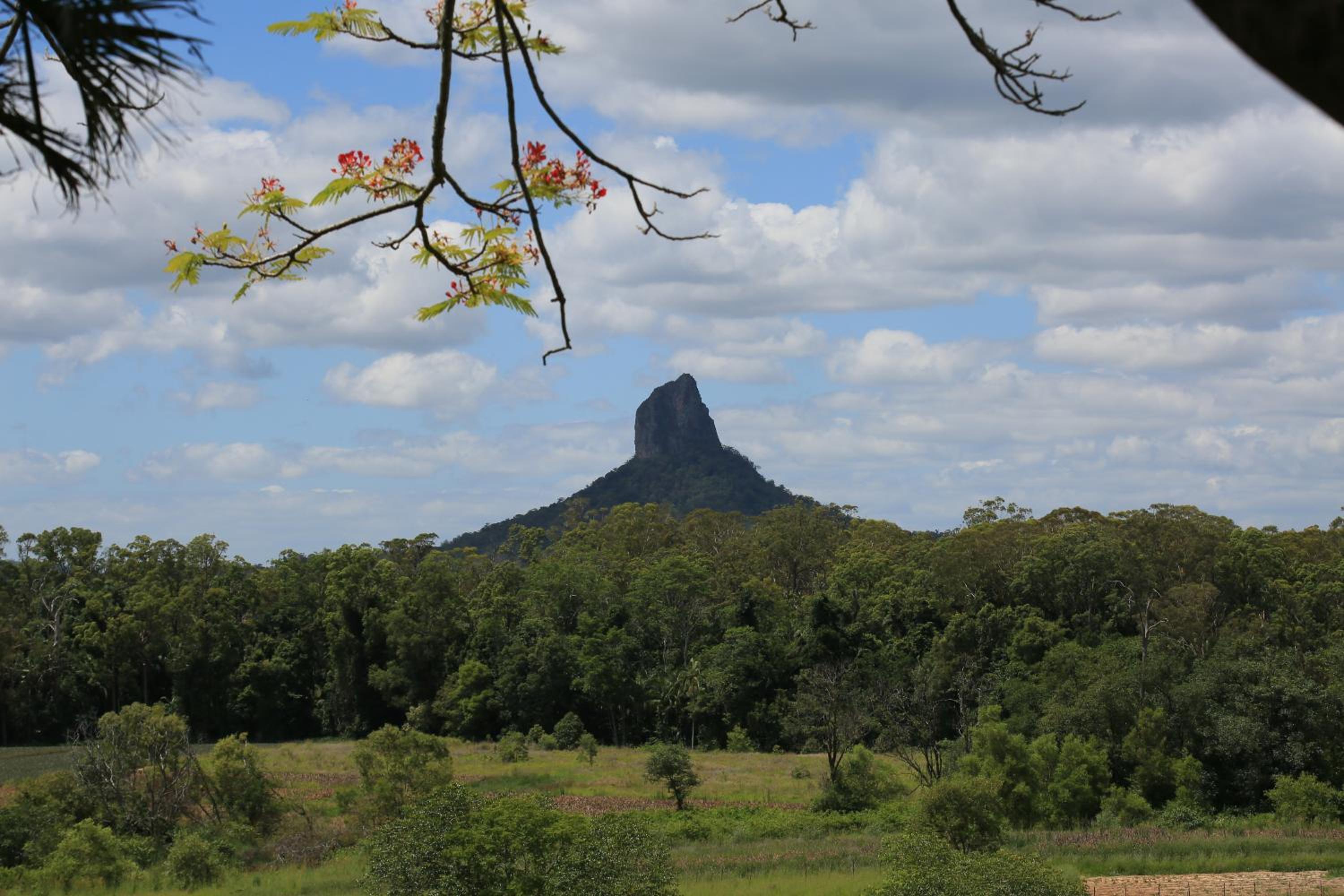 Blackwattle Farm
