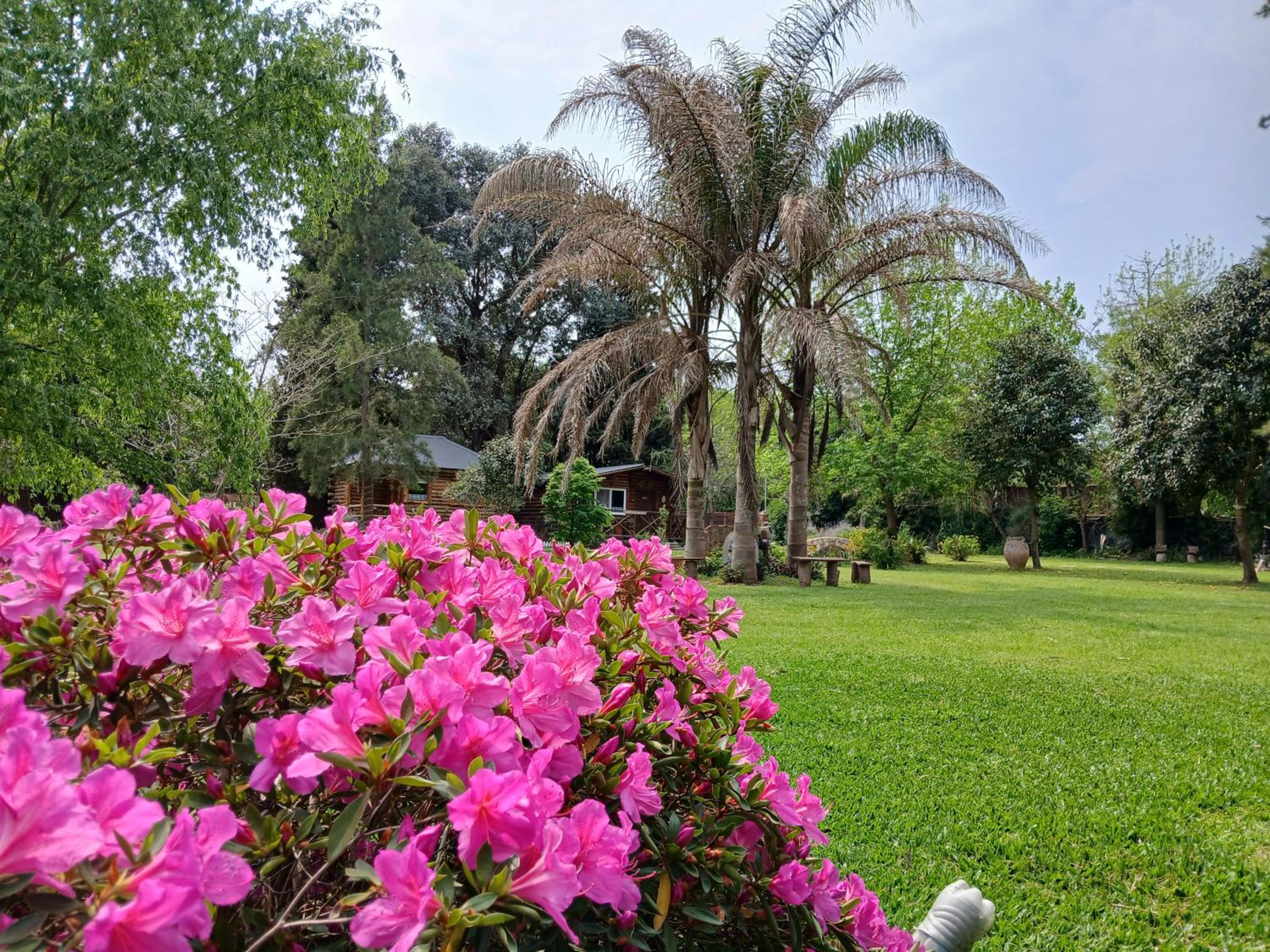 Pualy Resort & Spa