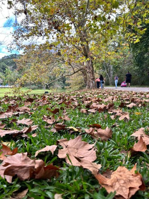 Refúgio na Serra Condomínio em Olaria, Nova Friburgo-RJ