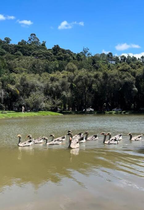 Refúgio na Serra Condomínio em Olaria, Nova Friburgo-RJ