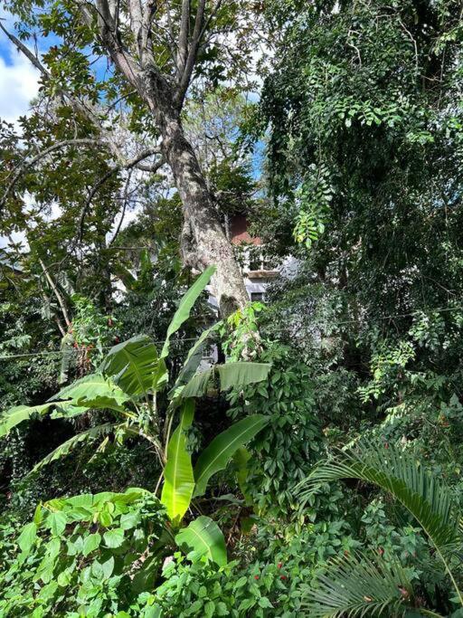 Refúgio na Serra Condomínio em Olaria, Nova Friburgo-RJ