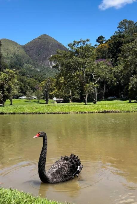 Refúgio na Serra Condomínio em Olaria, Nova Friburgo-RJ