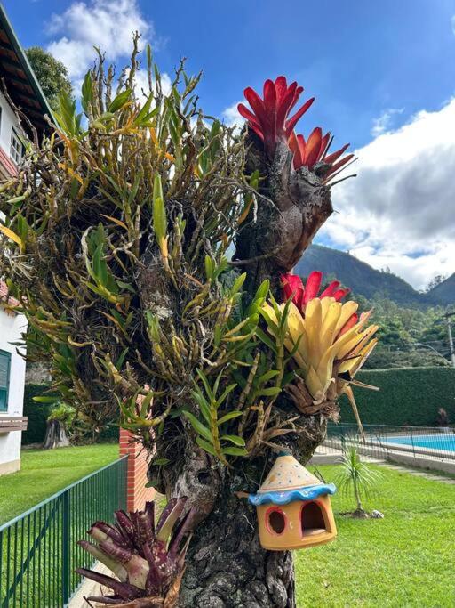 Refúgio na Serra Condomínio em Olaria, Nova Friburgo-RJ