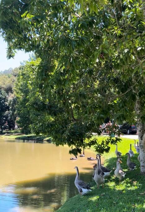 Refúgio na Serra Condomínio em Olaria, Nova Friburgo-RJ