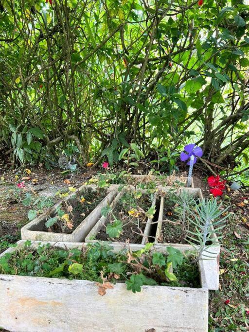 Refúgio na Serra Condomínio em Olaria, Nova Friburgo-RJ