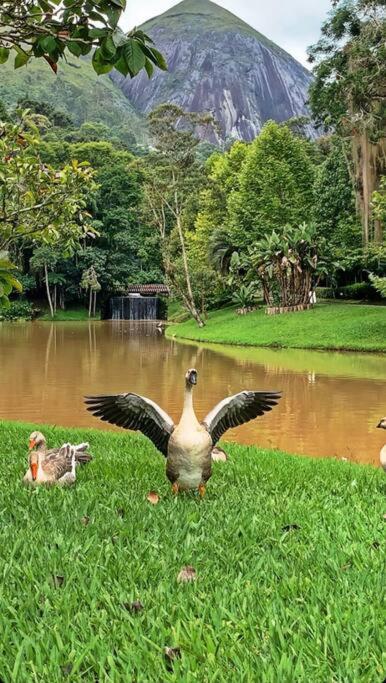 Refúgio na Serra Condomínio em Olaria, Nova Friburgo-RJ