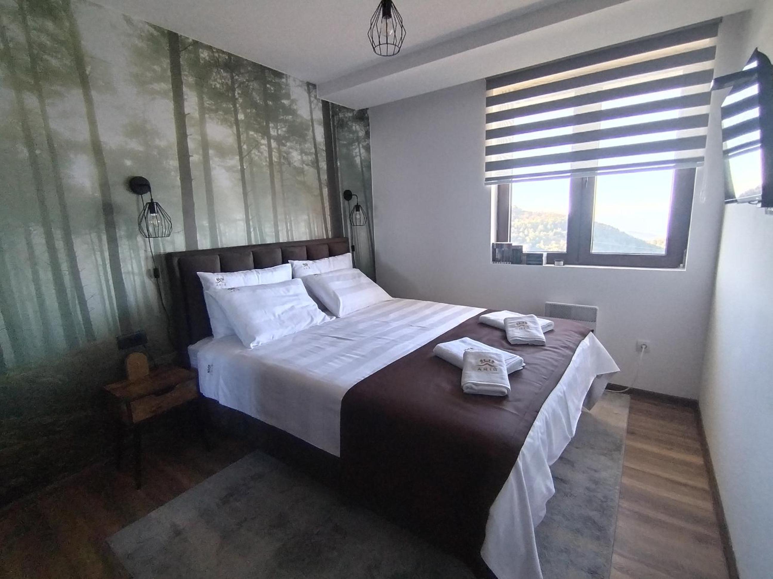 Apartman TRAMONTO Kopaonik view 4